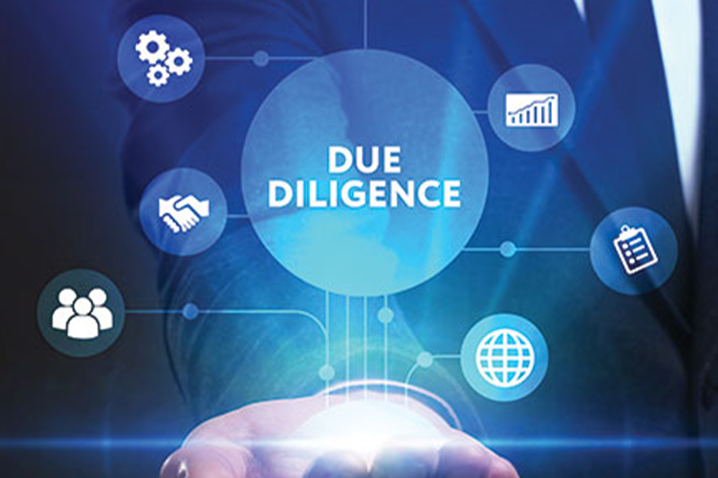 Due Diligence Services